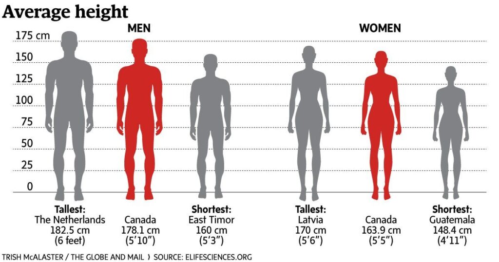 Height Comparison Chart in Feet